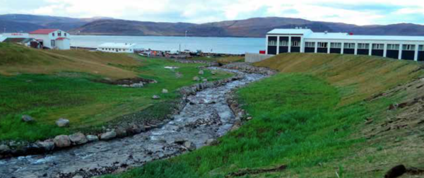 Nýr árfarvegur Litladalsár mótaður.